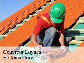 Couvreur  luynes-37230 H Couverture