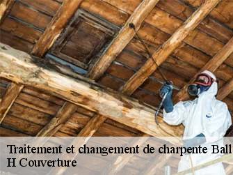 Traitement et changement de charpente  37510