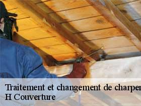 Traitement et changement de charpente  ballan-mire-37510 H Couverture