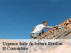 Urgence fuite de toiture  braslou-37120 H Couverture