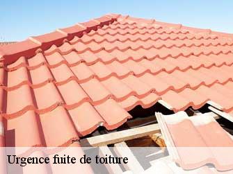 Urgence fuite de toiture  37190