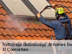 Nettoyage demoussage de toiture  beaumont-village-37460 H Couverture