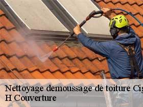 Nettoyage demoussage de toiture  cigogne-37310 H Couverture