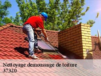 Nettoyage demoussage de toiture  37320