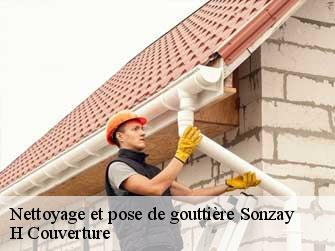 Nettoyage et pose de gouttière  37360