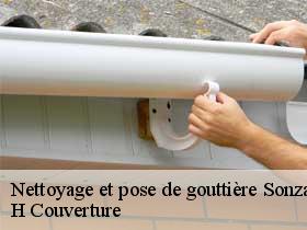 Nettoyage et pose de gouttière  sonzay-37360 H Couverture